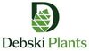 Паллетная перевозка.Питомник Debski Plants (Польша) Осень 2025-Весна 2026гг